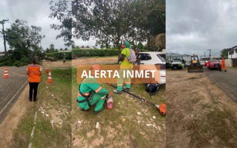 Alerta de perigo potencial de ventania