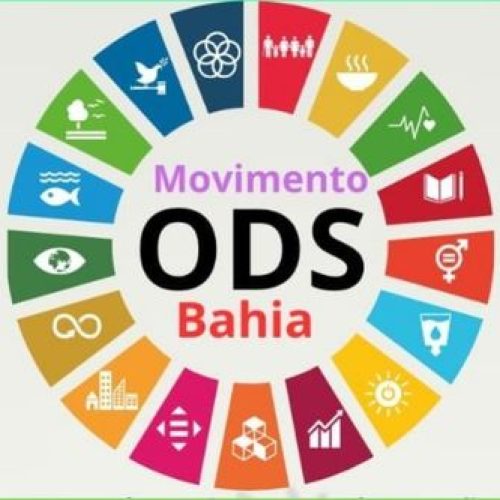 Curso de Capacitação e Treinamento para servidores da Rede Pública, Privada e membros dos núcleos municipais dos ODS