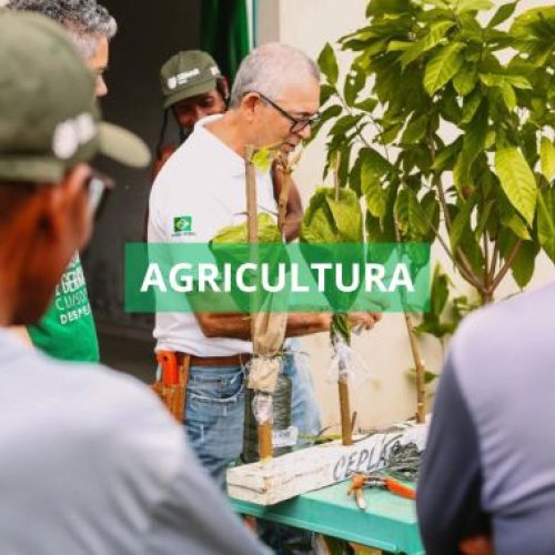 Prefeitura de Valença conclui curso de poda e enxertia de cacau na Comunidade da Cascalheira