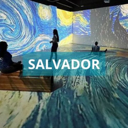 Exposição em Salvador possibilita imersão do público na obra de Van Gogh