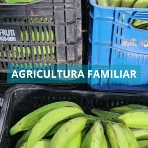 Prefeitura de Valença recebe as primeiras entregas de alimentos da Agricultura Familiar